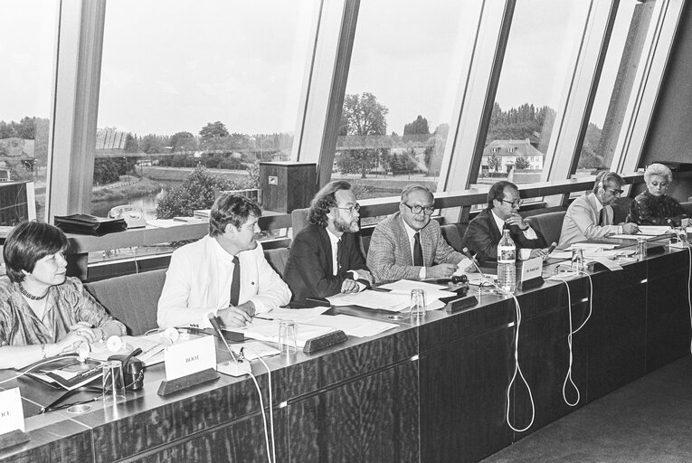 Meeting at the European Parliament in Strasbourg