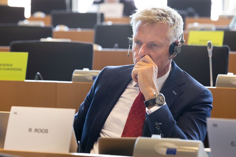 Fotografi 13: Special Committee on the COVID-19 pandemic: lessons learned and recommendations for the future