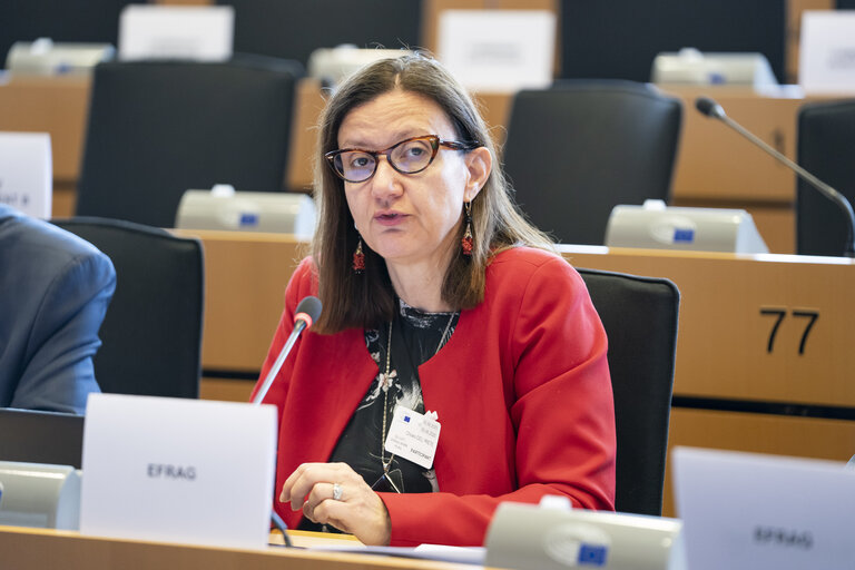 Fotó 13: JURI - Presentation of EFRAG's Work Plan 2025