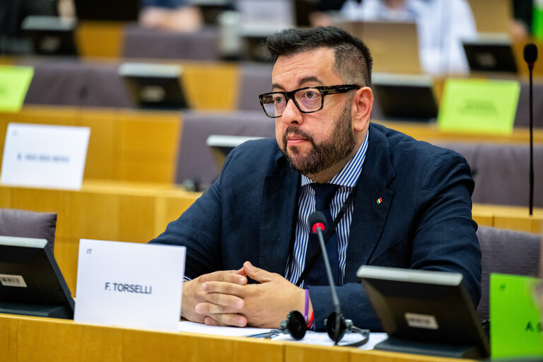 Fotografie 17: EMPL - Hearing on ' Artificial intelligence at the workplace '