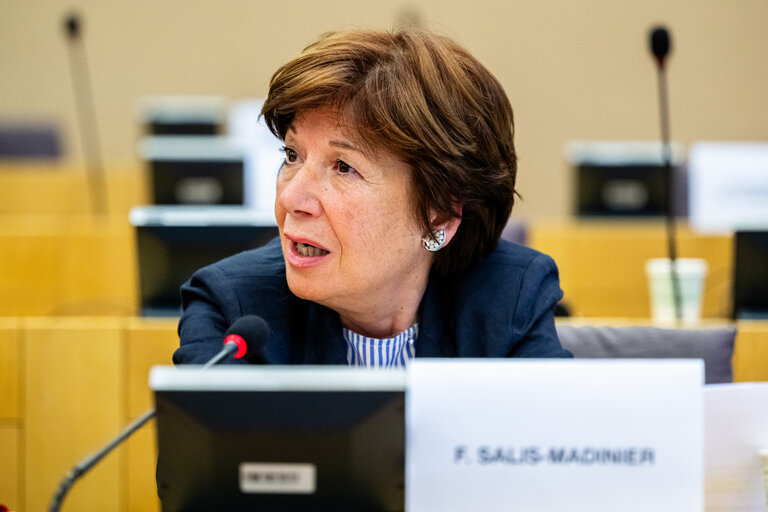 Fotografie 2: EMPL - Hearing on ' Artificial intelligence at the workplace '